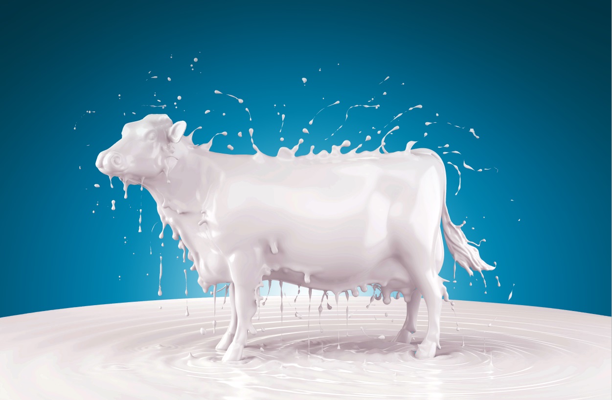 Bild Milch Kuh Login MRV Kundenbereich